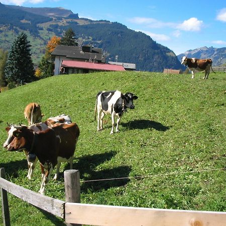 Alpenhof Hotel Grindelwald Ngoại thất bức ảnh