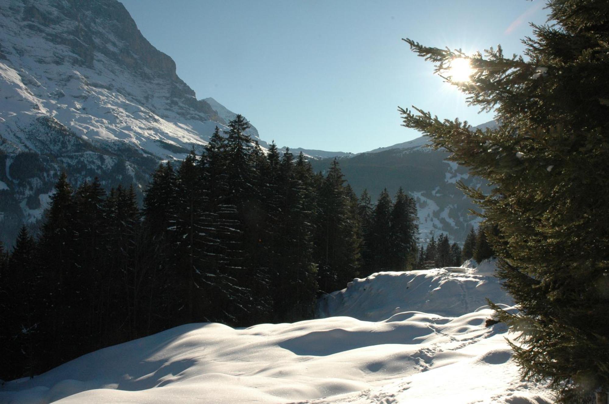 Alpenhof Hotel Grindelwald Ngoại thất bức ảnh