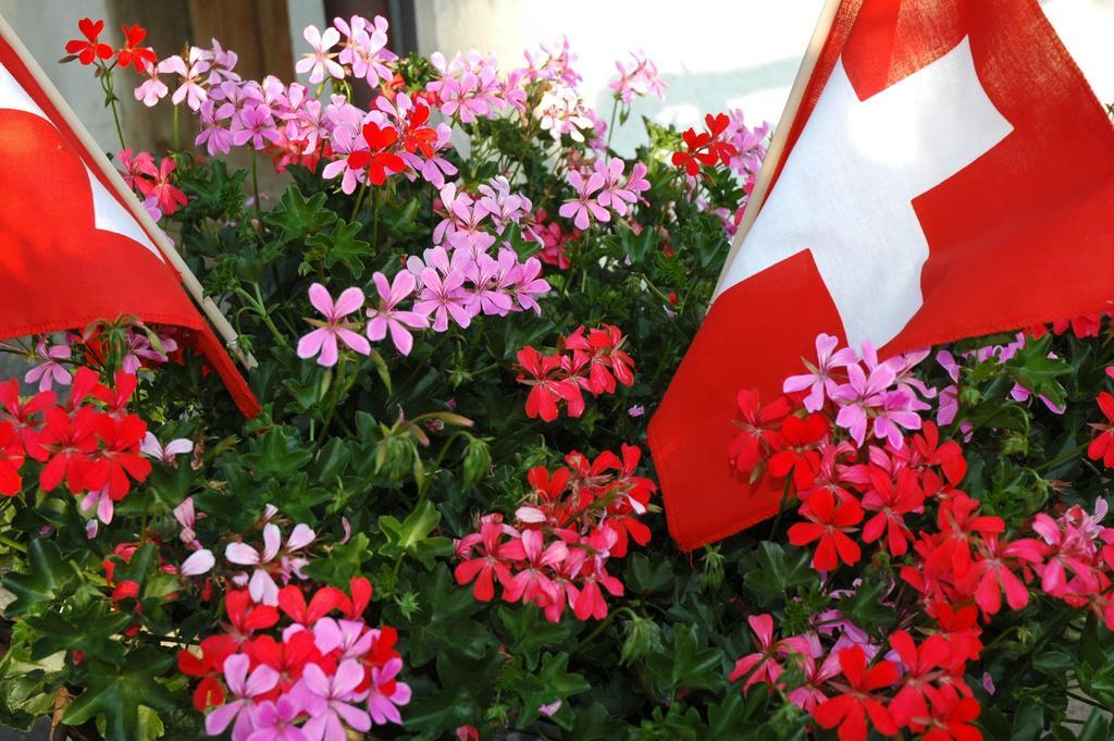 Alpenhof Hotel Grindelwald Ngoại thất bức ảnh