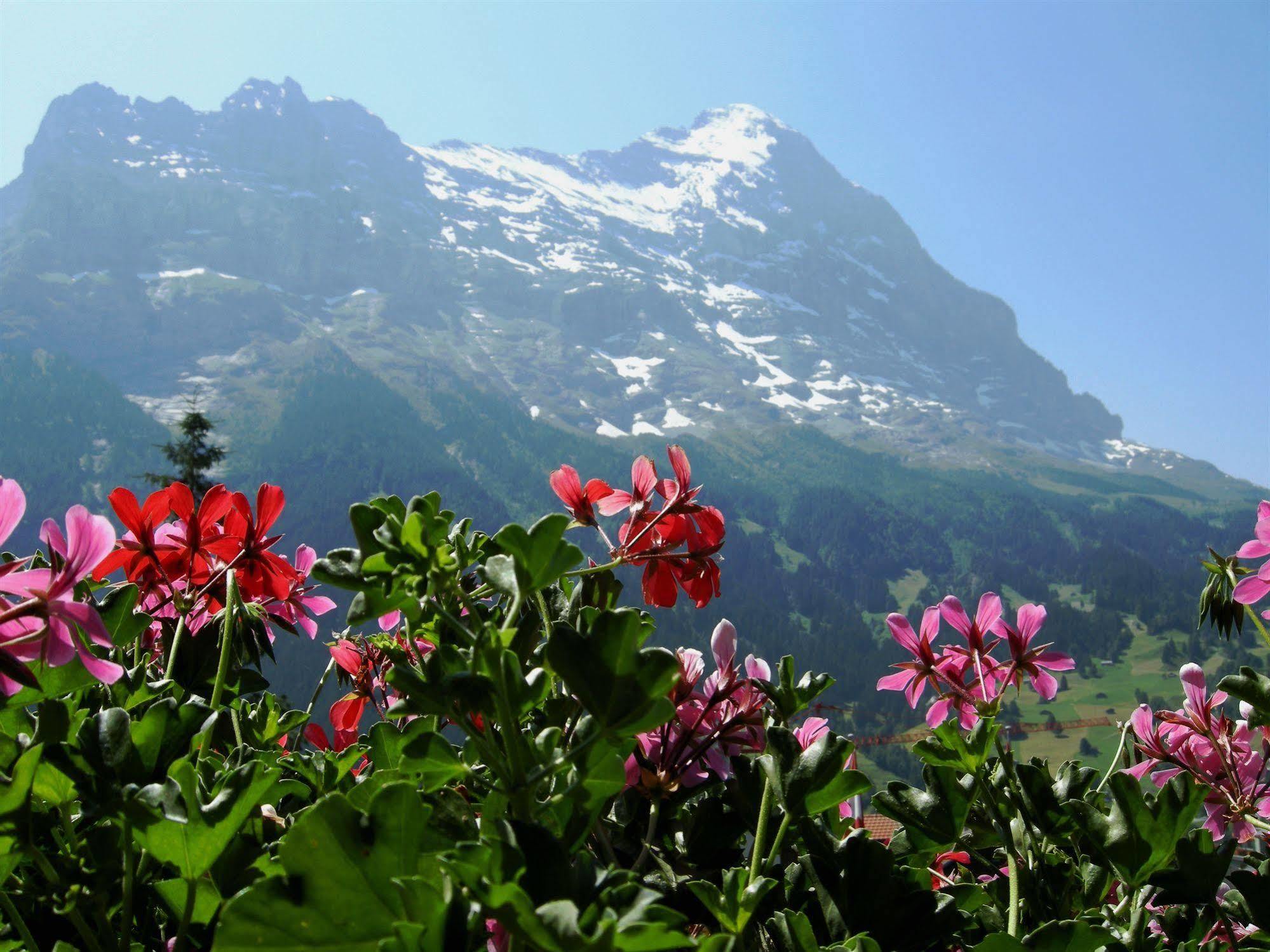 Alpenhof Hotel Grindelwald Ngoại thất bức ảnh
